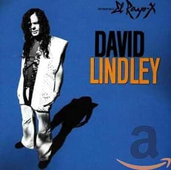 80s USA製 DAVID LINDLEY デヴィッド リンドレー ラスタ希少 80s USA製 DAVID LINDLEY デヴィッド リンドレー ラスタ希少